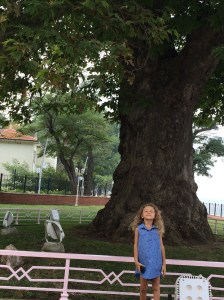 Bu resimler Ağustos ziyaretimizden kalma